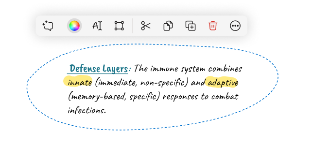 lasso menu.png