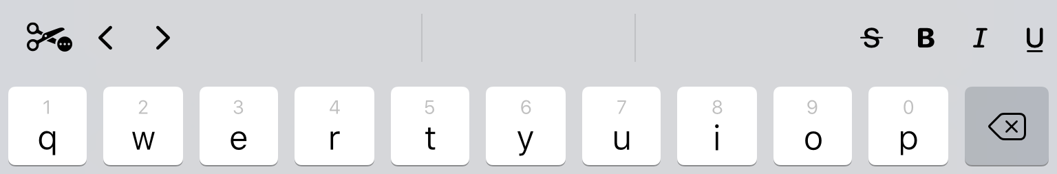 text_tool_bold_italic.png