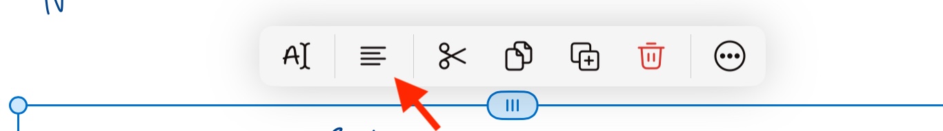 Lasso menu - Alignment icon.jpeg