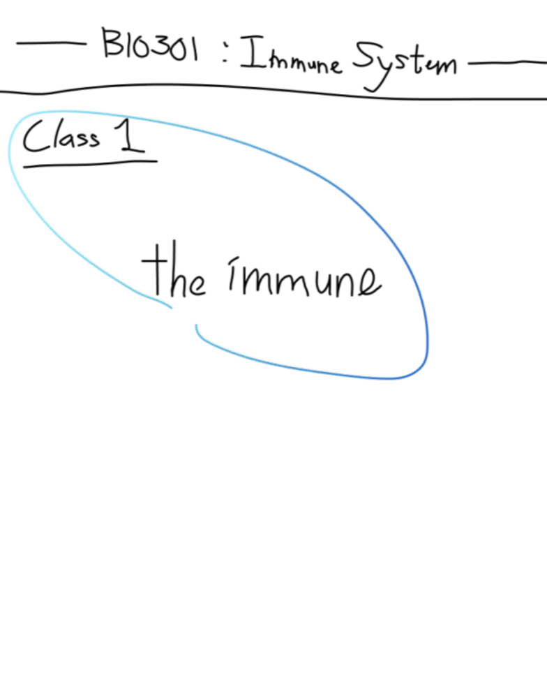 Screenshot 2025-09-21 at 22.01.25.png