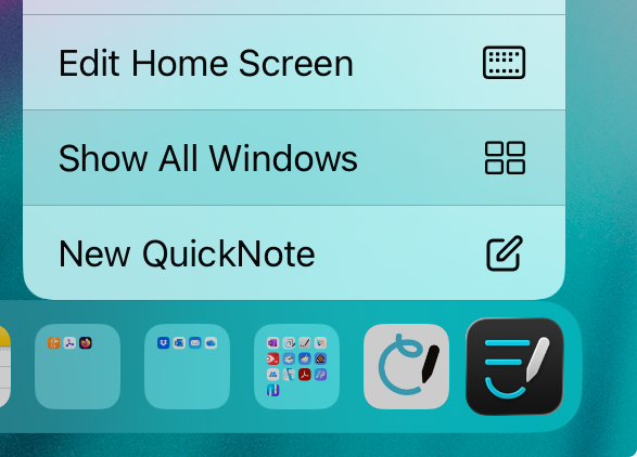 iPad 上 Goodnotes 的“显示所有窗口”选项