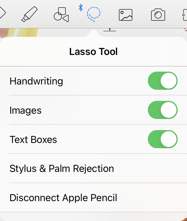 Using The Lasso Tool In Goodnotes 5 Goodnotes Support