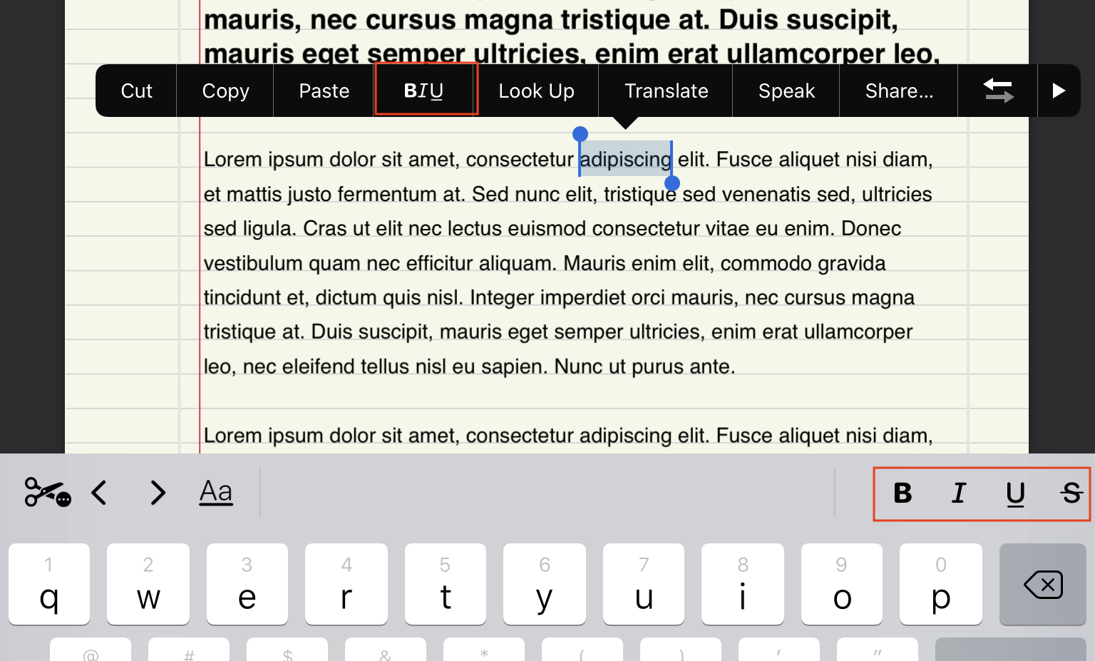 [GoodNotes 5] Type text on the full page – Goodnotes Support