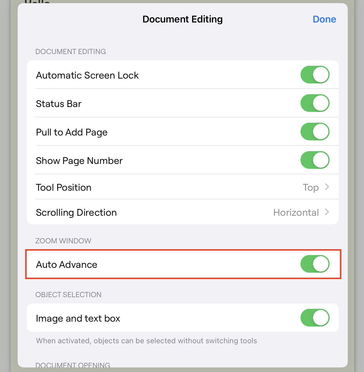 The Zoom Window is not advancing automatically when I write Goodnotes