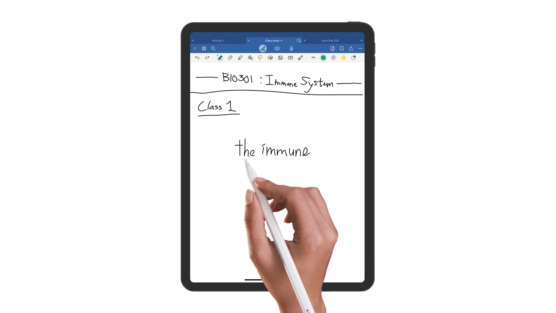 Erasing handwriting and highlighting – Goodnotes Support